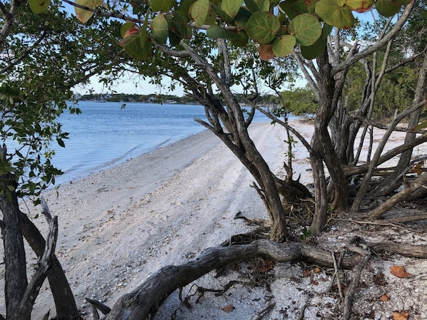 Beach nearby, beach towels - Old Floridian cottage in Historic Gulf Village (Englewood)