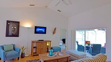 Flat-screen TV