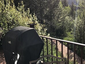 Property grounds - Steamboat Retreat, Luxury Living for Large Groups (Steamboat Springs)