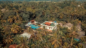 A residential area with houses surrounded by dense palm trees and greenery. - Villa Talpe 5 Bedrooms & Massage Pool (Unawatuna)