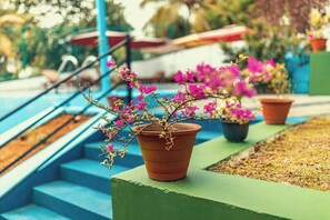 Villa | 5 bedrooms, iron/ironing board, free WiFi, bed sheets - Villa Talpe Inviting 5 Bedrooms & Massage Pool (Unawatuna)