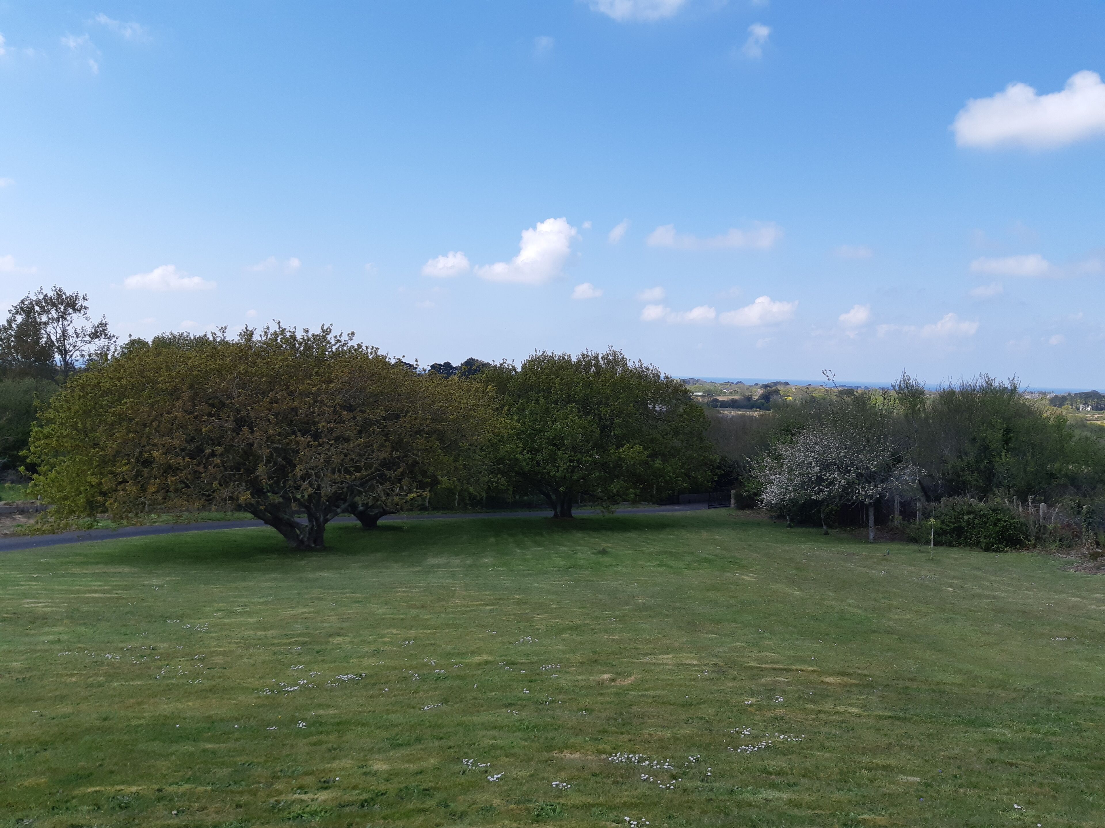 Un campo cubierto de hierba con árboles y cielo despejado.