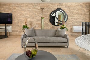 TV connectée, cheminée, lecteur de DVD