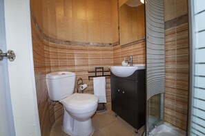 Un baño con inodoro, lavamanos y zona de ducha.