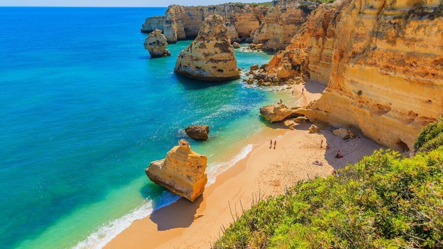 B17 - The Stunning Seaview Apartment