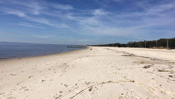 Una extensa playa de arena con cielo despejado y mar tranquilo.