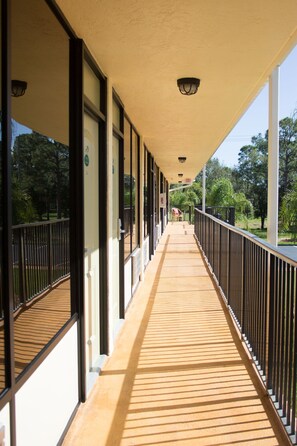 Property grounds - 3 Palms Hotel (Fort Pierce)