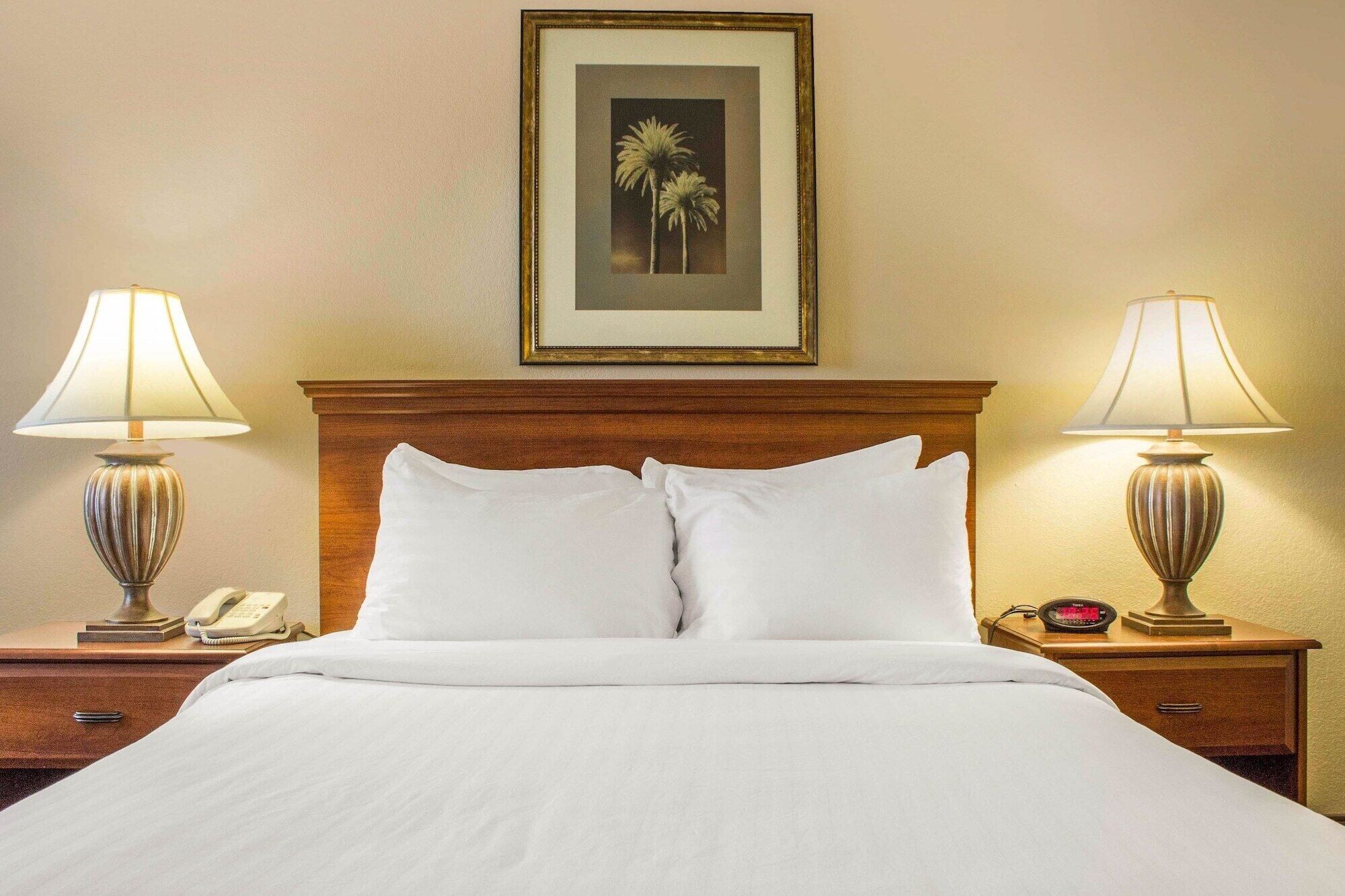Quarto de hotel com cabeceira de madeira, duas luminárias de cabeceira, um quadro com palmeiras, telefone ao lado da cama e relógio digital.