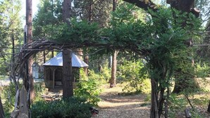 Un arco de madera rústico que da paso a un mirador en un área boscosa.