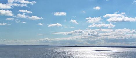 A coastal landscape with a body of water, trees, and a distant shoreline.
