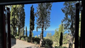 A view from inside a building looking out to a gravel path surrounded by trees and a body of water.