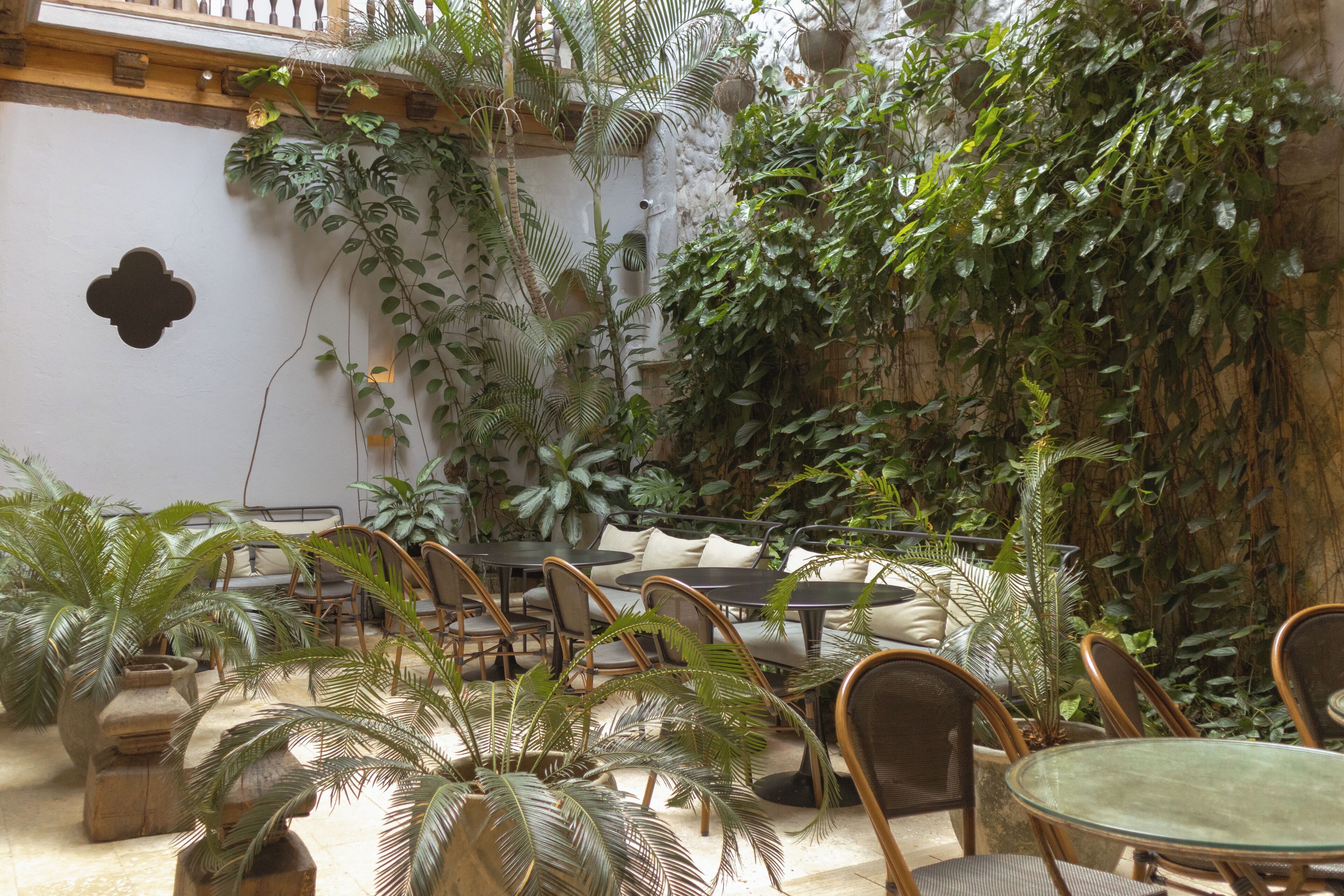 Un jardín interior con asientos y mesas, rodeado de plantas variadas y un muro de piedra.