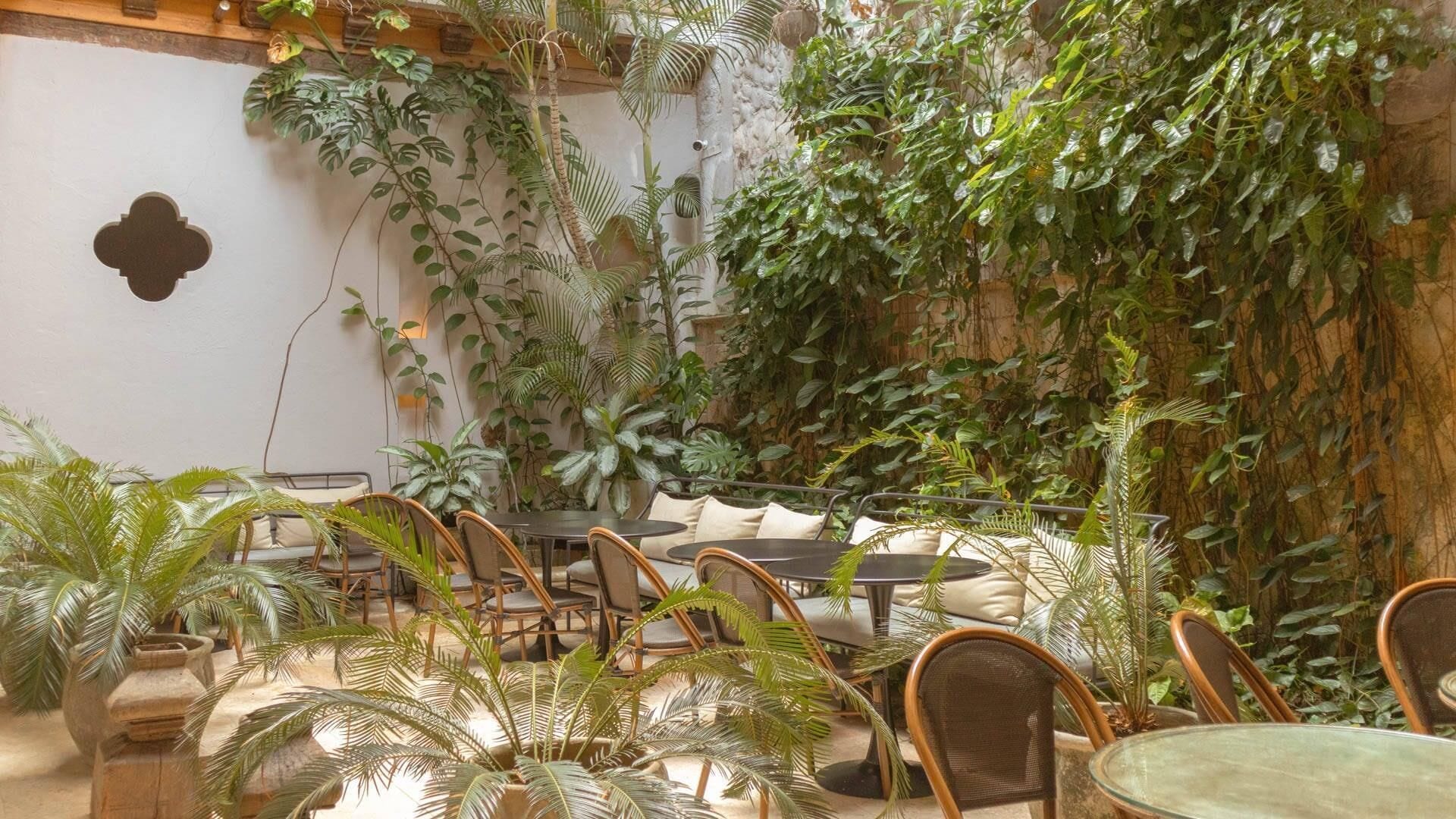 Photo - Hotel Casa Don Luis by Faranda Boutique, a member of Radisson Individuals