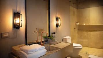 Une salle de bain avec un grand lavabo, des toilettes et un espace douche.