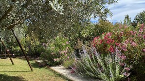 Ein Garten mit verschiedenen Pflanzen und einer hölzernen Bank.