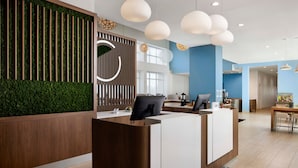 A modern reception area with a wooden reception desk, a green vertical garden, and a blue wall.