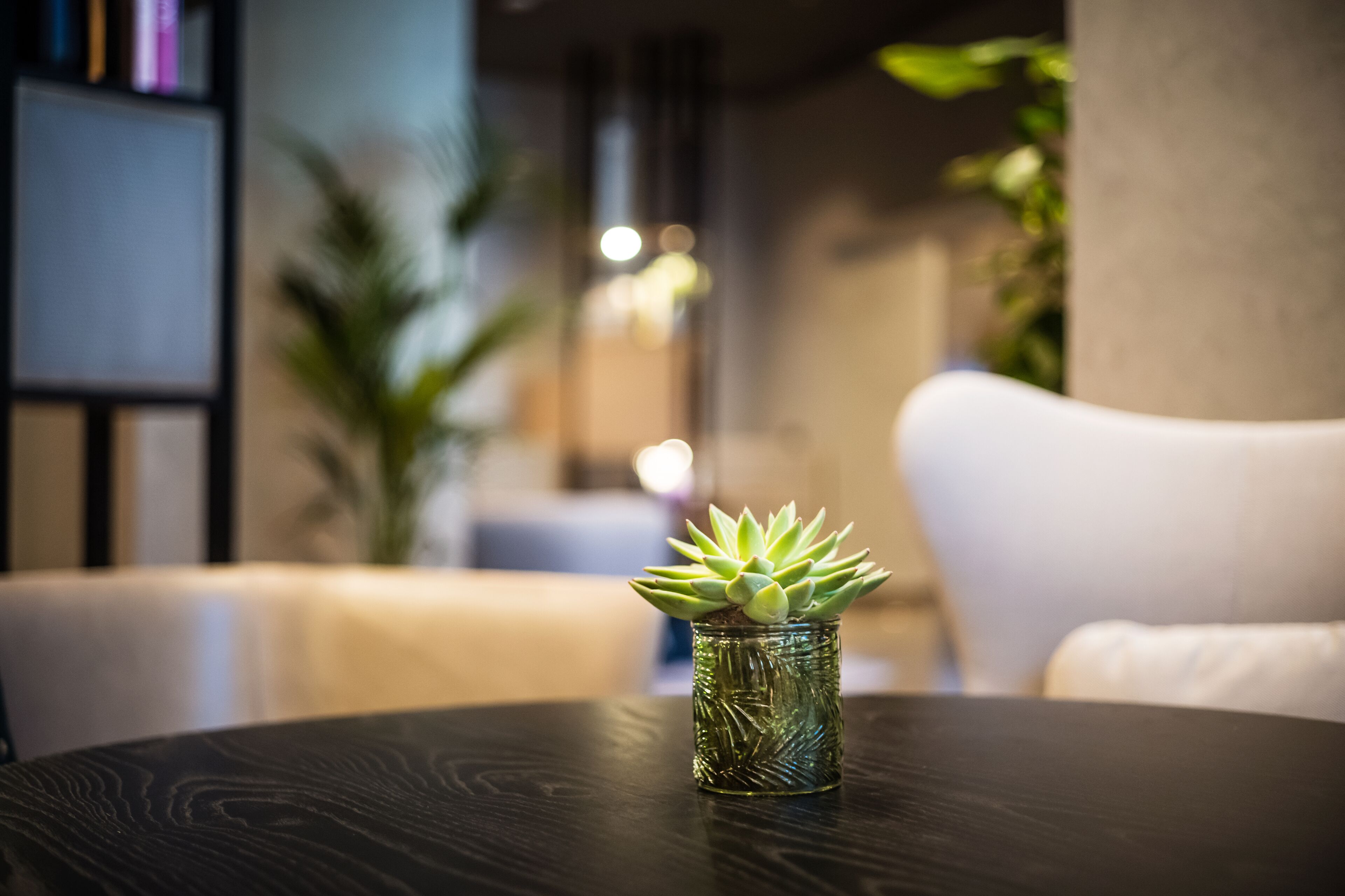 Un petit vase en verre contenant une plante succulente, posé sur une table ronde.