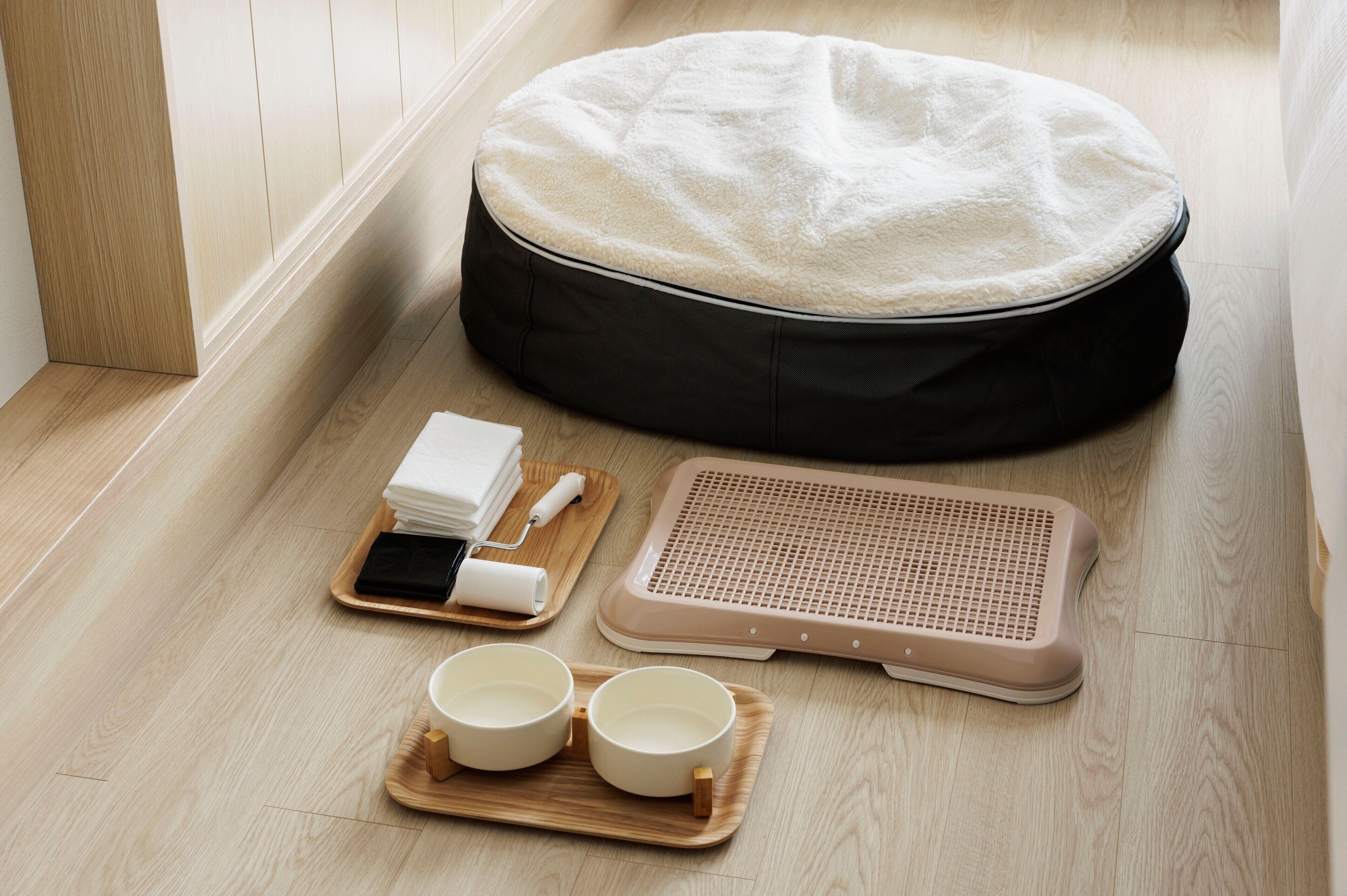 A pet bed, a heating pad, a water bowl, and a tray with a roll of toilet paper and a phone on a wooden floor.