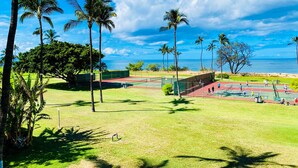 A tennis court with multiple courts, surrounded by palm trees and a view of the ocean.