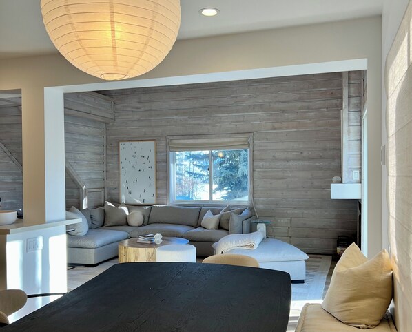 Smart TV, fireplace, stereo, computer monitors