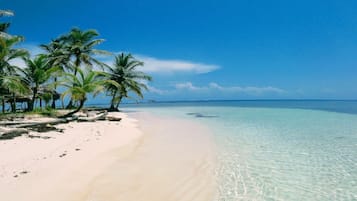 Playa en los alrededores