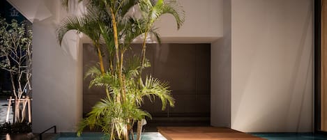 A modern indoor pool area with a wooden deck, surrounded by a glass enclosure, and a large palm tree in the center.