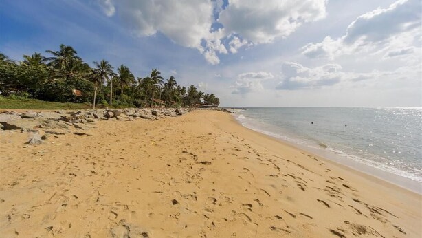A sandy beach with footprints, palm trees, and a clear sky. - Hotel Nathariya Negombo (Negombo)