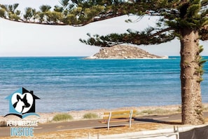 A coastal road with a bench and a tree, overlooking a clear blue sea and a rocky island.