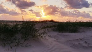 Una playa con dunas de arena y pastos.
