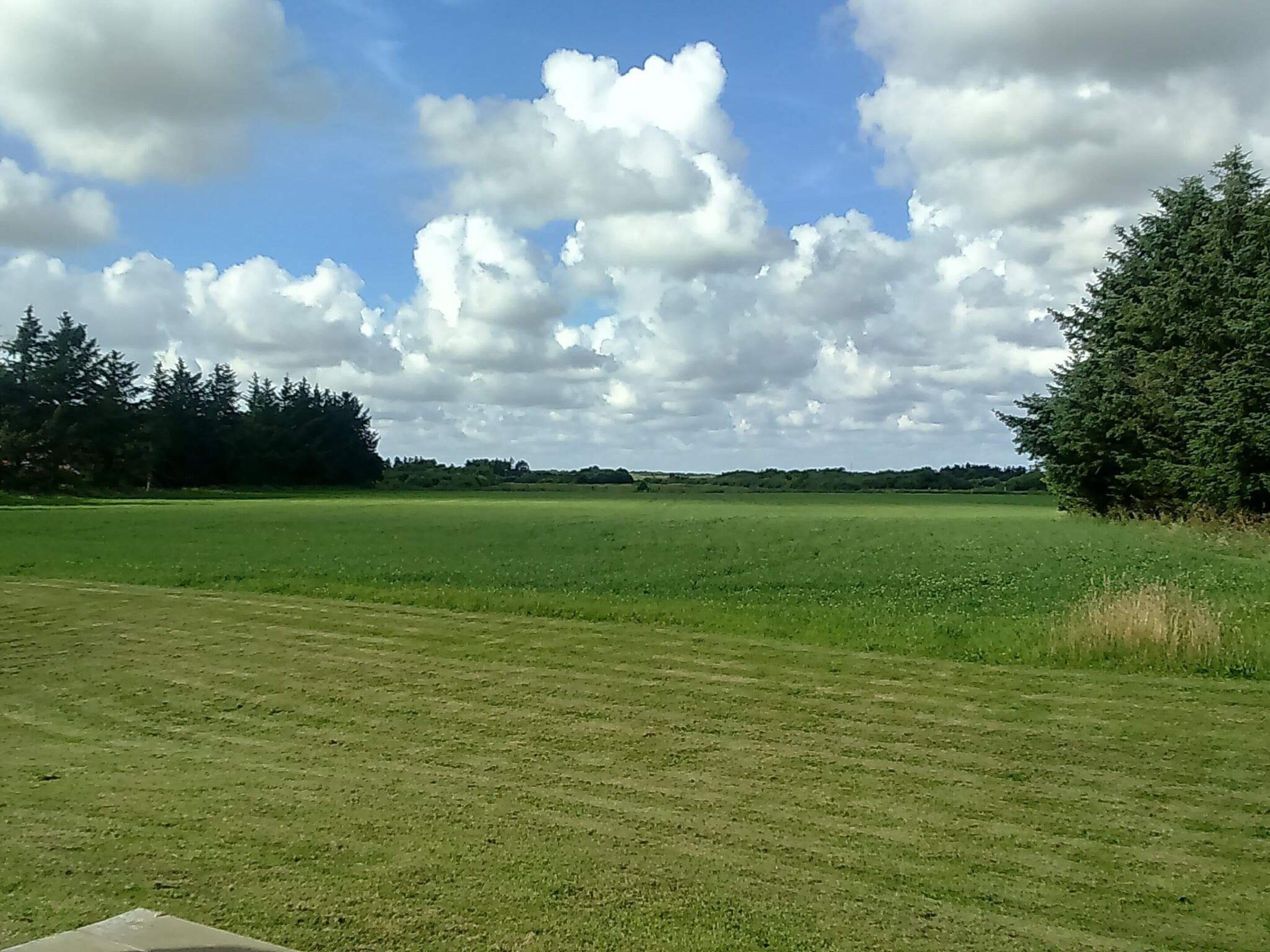 A grassy field with trees in the background and a partly cloudy sky.