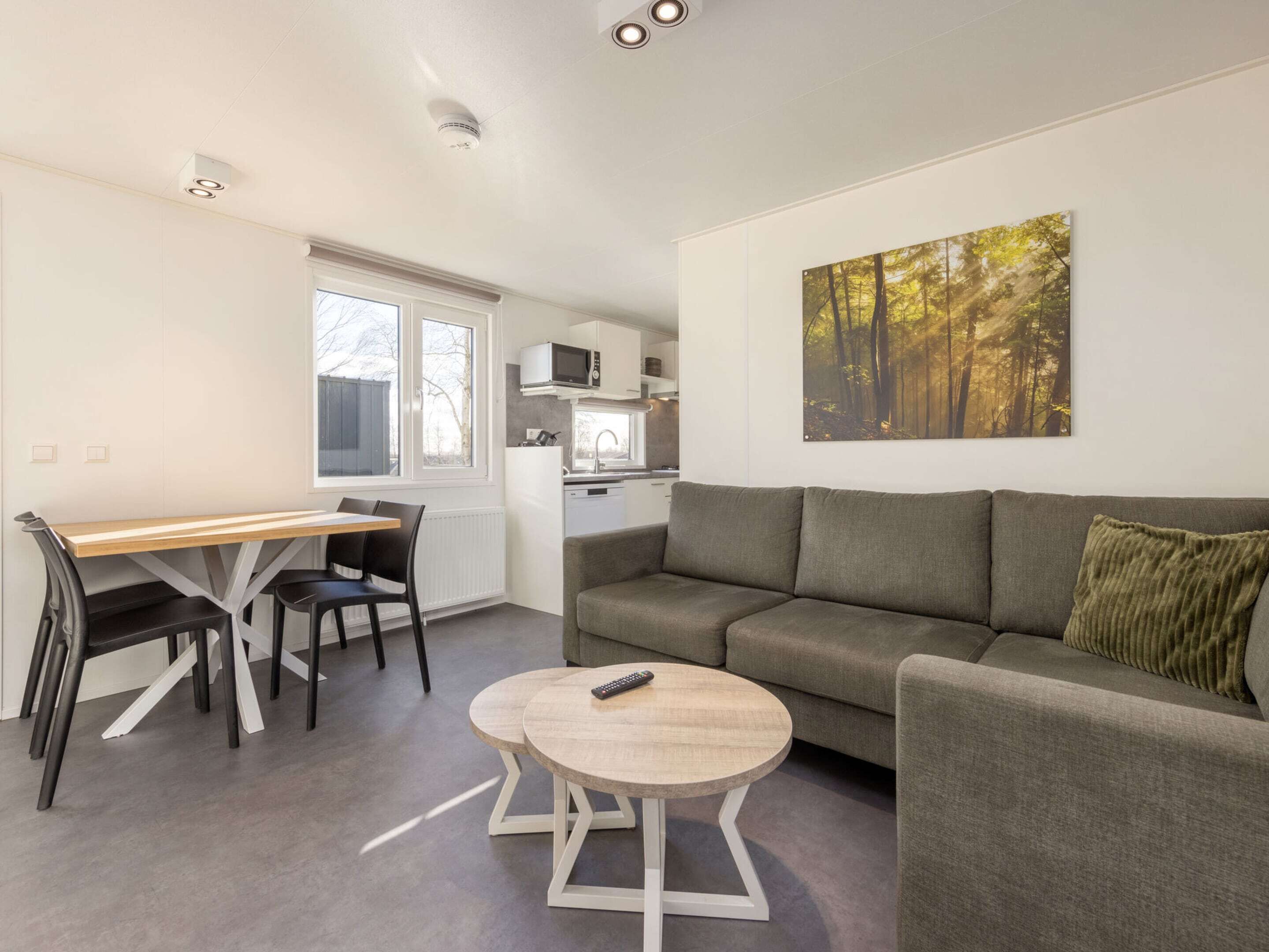 Chalet | Living room | TV