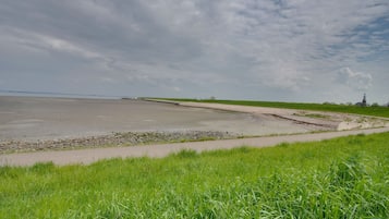 A coastal landscape with a sandy beach, grassy areas, and a distant lighthouse.