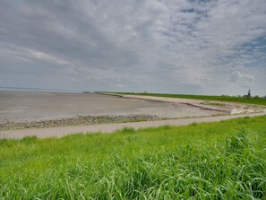 House | View from property - Holiday Home in Kattendijke Near National Park (Kattendijke)