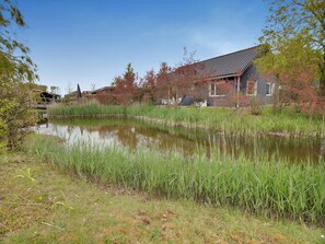 House | View from property