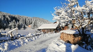 Une route de campagne enneigée menant à une maison en bois dont le toit est également recouvert de neige.