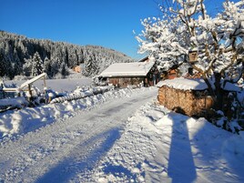 Apartment | View from property