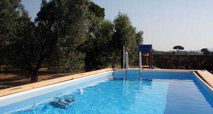 Lovely Holiday Home in Bibbona With Barbecue