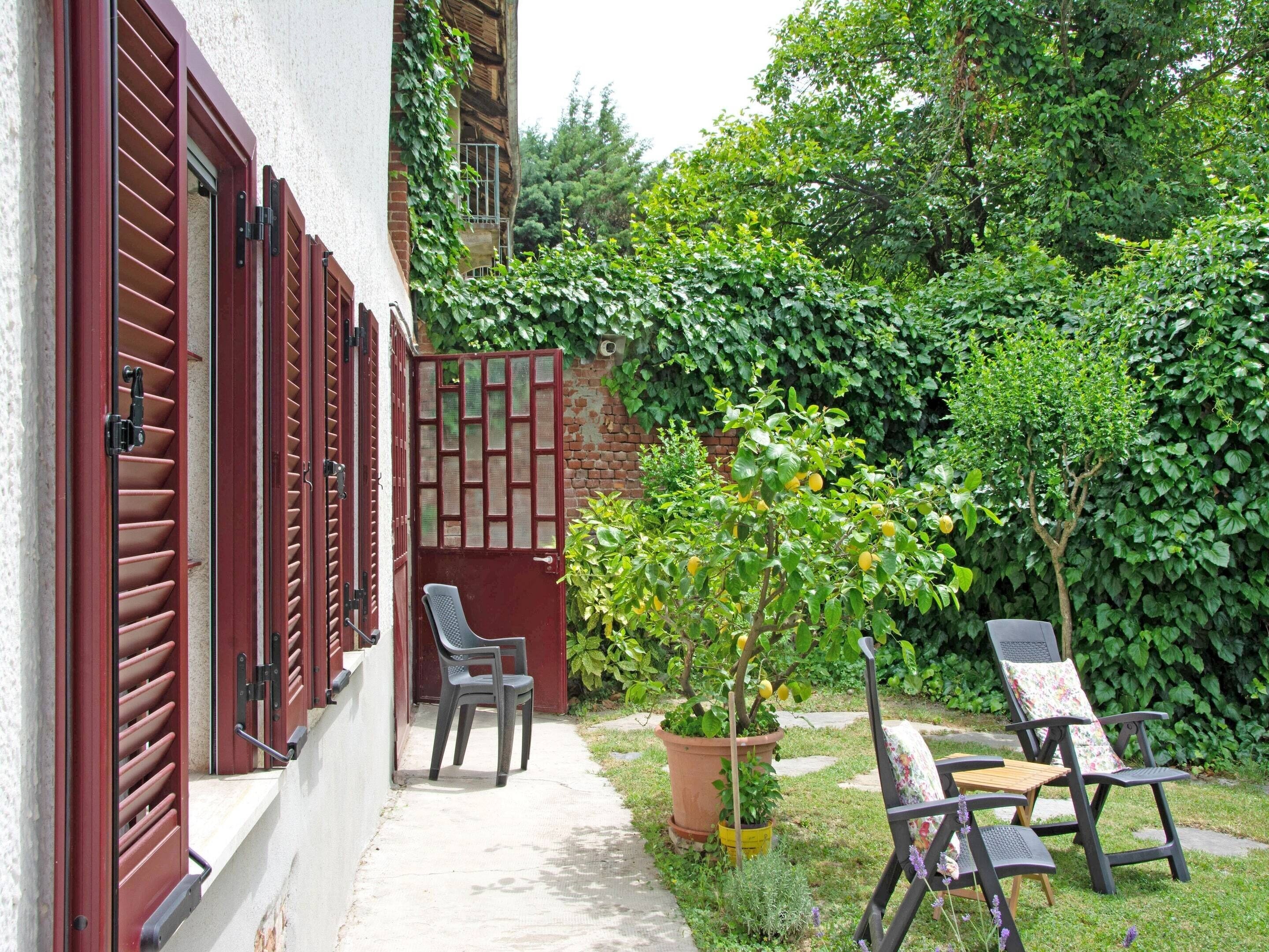 A courtyard with a concrete path, a potted plant, and two chairs.