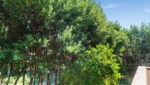 Un jardín exuberante con follaje denso y un cielo despejado.