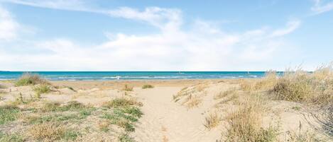 Vue depuis l’hébergement