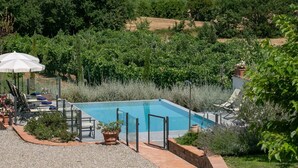 A rectangular swimming pool surrounded by a gravel patio, with lounge chairs and a white umbrella. - Plush Holiday Home in Cortona with Hot Tub (Cortona)