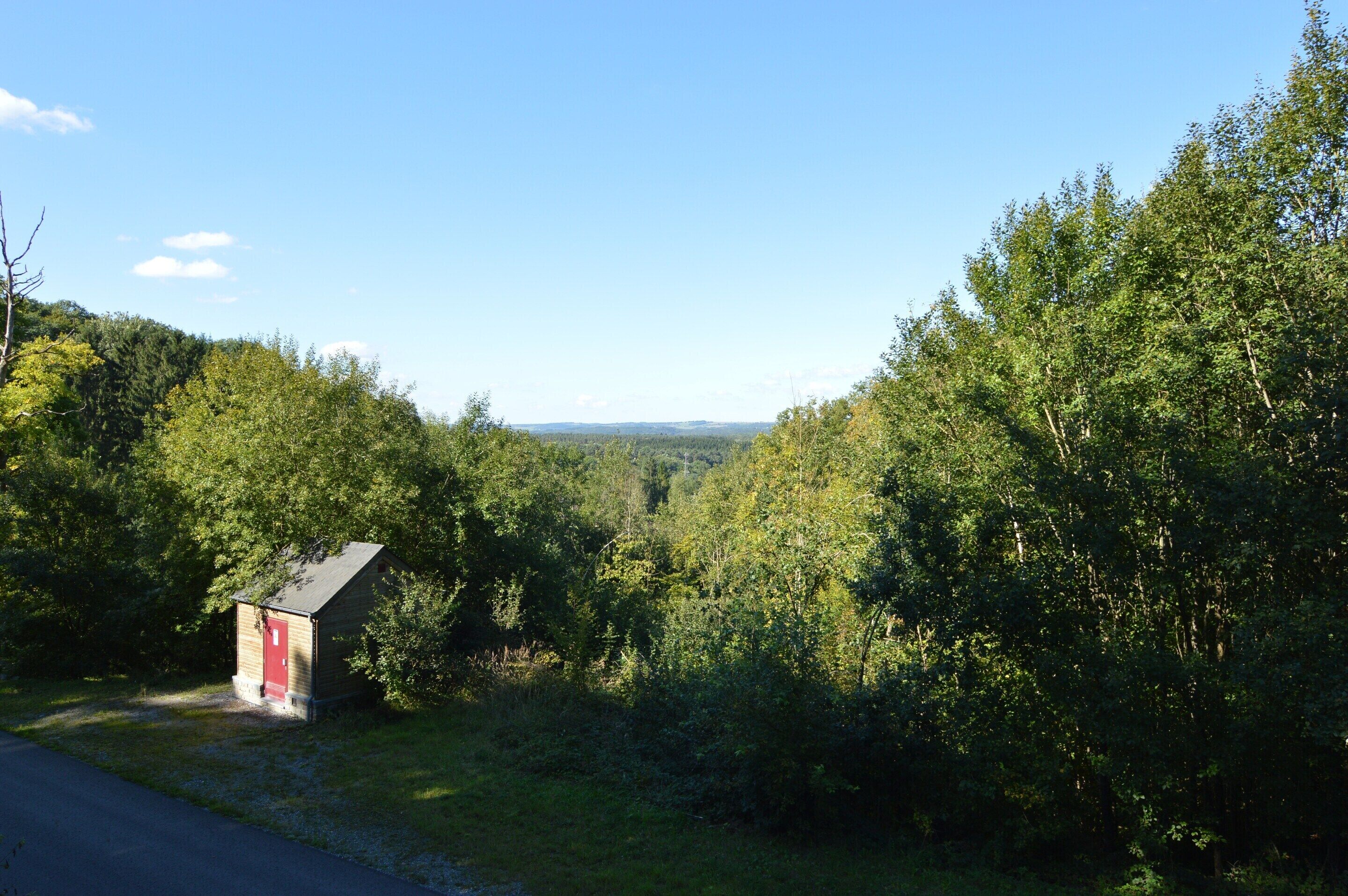 A small wooden cabin with a red door, surrounded by dense forest and a clear blue sky.
