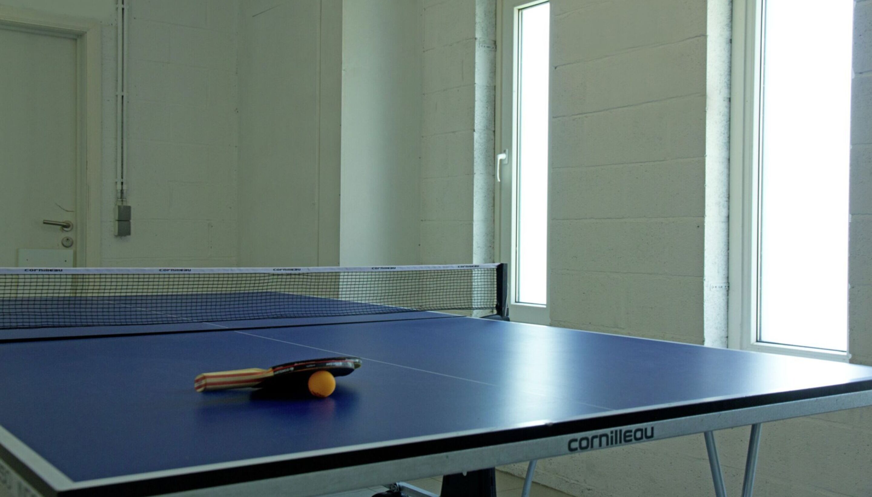 Una mesa de tenis de mesa con una red, una paleta y una pelota.