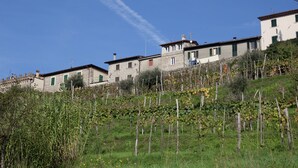Exterior - Lovely Farmhouse in Castiglione di Garfagnana with Hot Tub (Castiglione di Garfagnana)