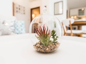 A clear glass dome over a small plant with red leaves and green foliage, placed on a white surface. - Modern Holiday Home in Zadar With Terrace (Zadar)