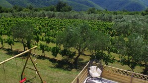 A vineyard with rows of grapevines, a swing set, and a wooden deck with a hanging chair. - Apartment in Croatia Near Adriatic Coast (Barban)