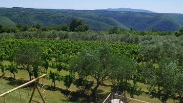 Apartment | View from property