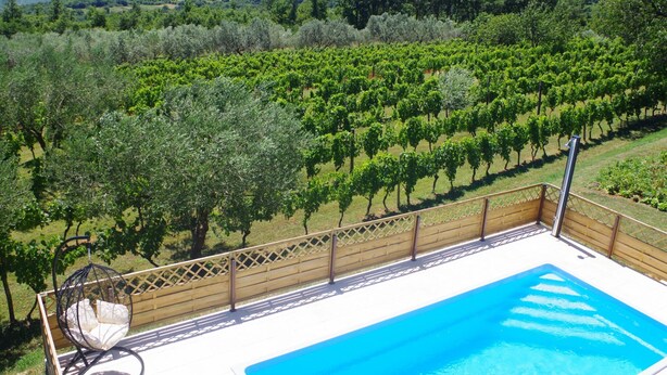A pool with a wooden deck and a hanging chair, surrounded by a vineyard and a view of distant hills. - Apartment in Croatia Near Adriatic Coast (Barban)