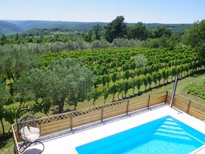 A pool with a wooden deck and a hanging chair, surrounded by a vineyard and a view of distant hills. - Apartment in Croatia Near Adriatic Coast (Barban)