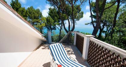 Enchanting Coastal With Views